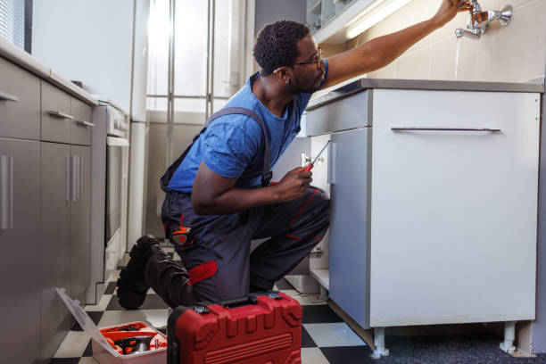 Best Local Plumber Services  in Cobden, IL