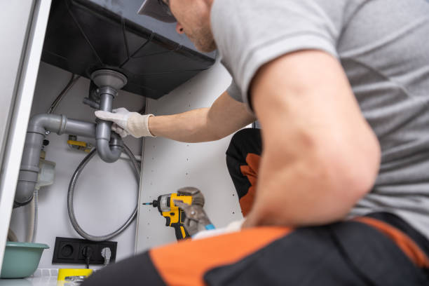 Best Plumbing Inspection Services  in Cobden, IL